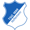 1899 Hoffenheim Logo